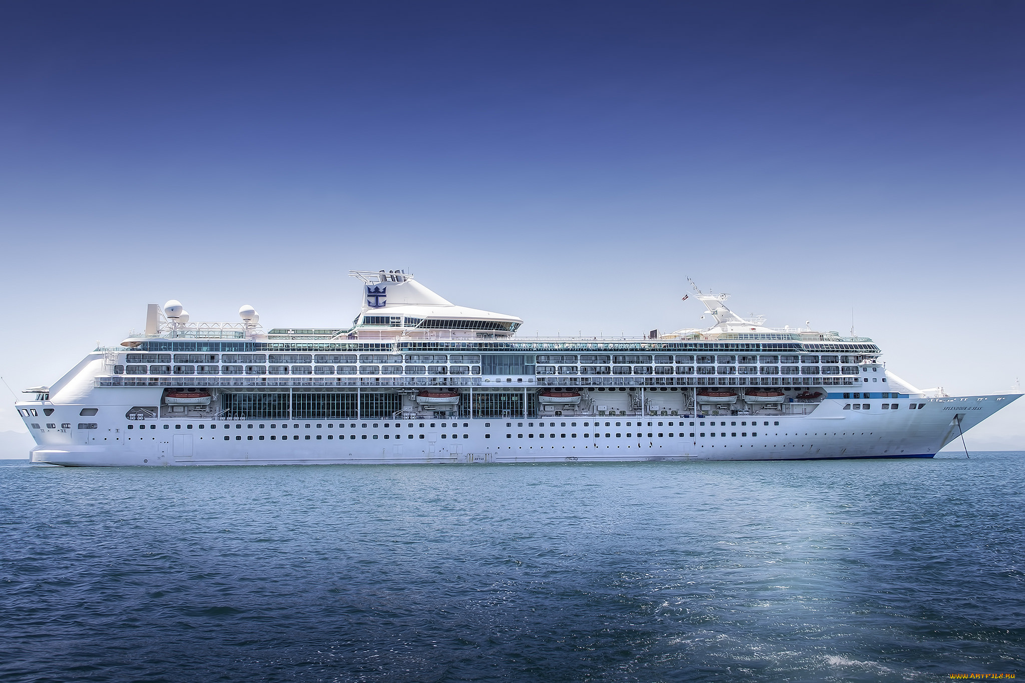 splendour of the seas, , , , 